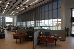 IMG_0517