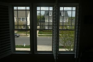 IMG_0954