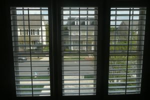 IMG_0955